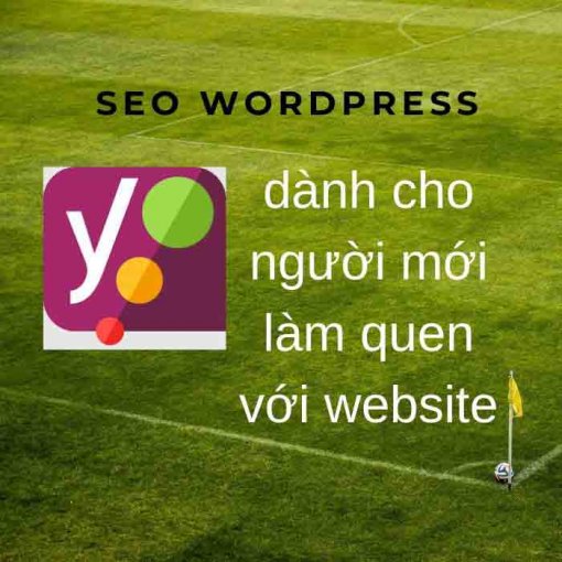 SEO wordpress