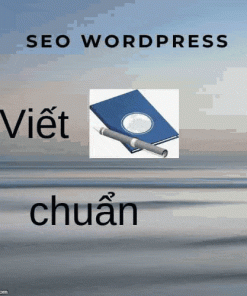SEO wordpress