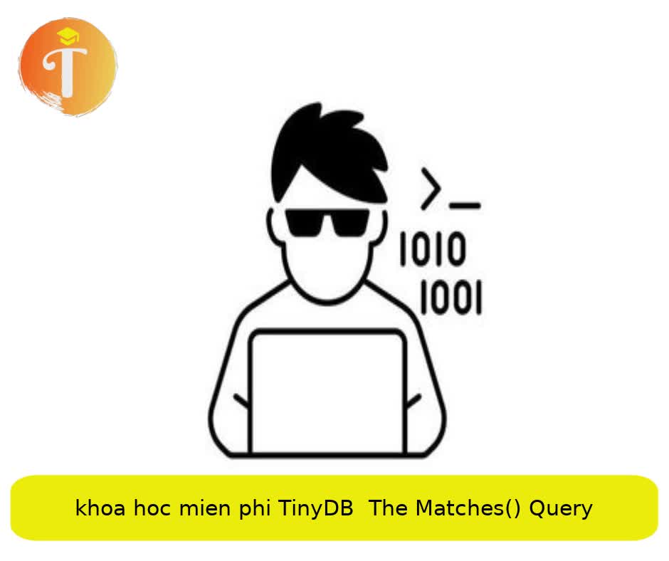 Khóa học miễn phí TinyDB – The Matches() Query nhận dự án làm có lương
